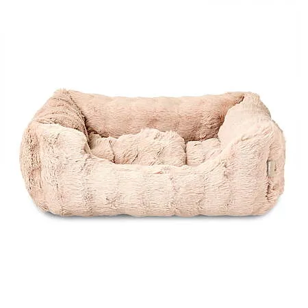 24" x 20" Vibrant Life Pet Bed for $24.26