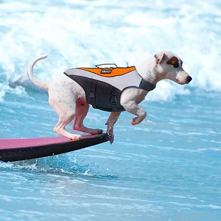 Dog Life Jackets from $9.99!