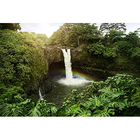 Round trip to Kauai from New York for $435