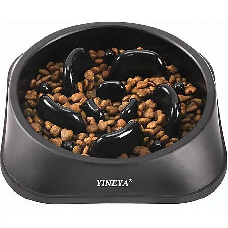 YINEYA Slow Feeder Dog Bowl for $4.19
