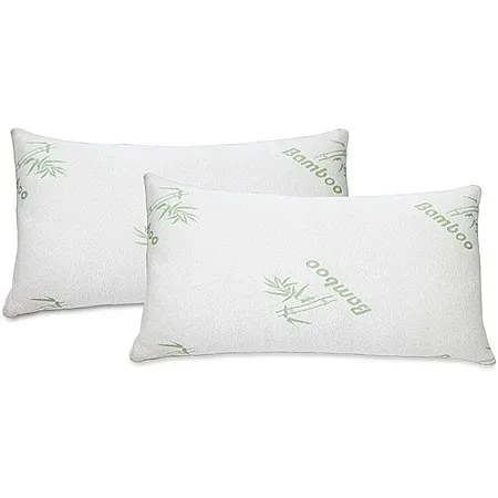 $33.99 for Memory Foam Bamboo Rayon Pillows!