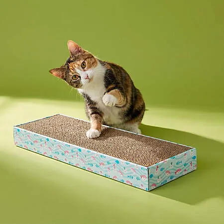 $4.68 for Vibrant Life Corrugated Cat Scratcher!