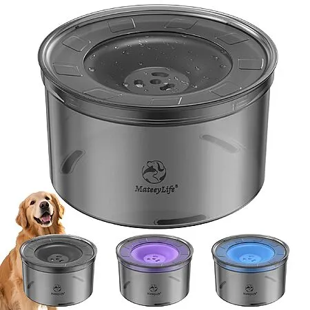 3.8L MateeyLife Dog Water Dispenser for $11.19