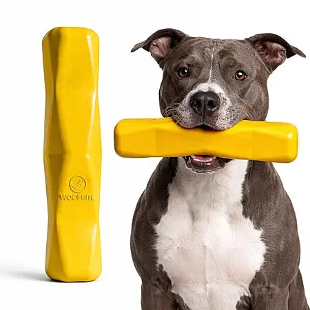 12" XL Natural Rubber Dog Chew Toy for $14.99
