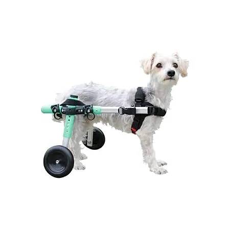Walkin' Wheels Small Dog Wheelchair for $129.99