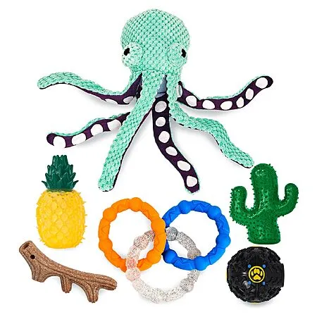 50% Off 6-Pack NWK Dog Chew Toys Bundle