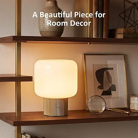 43% Off Cordless Mushroom Table Lamp!