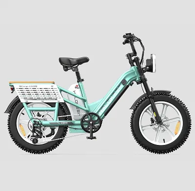 Dual-Battery Electric Bike for $1299