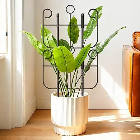 2-Pack Metal Plant Trellises for $5.99