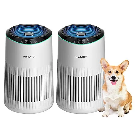 MORENTO MR2566 Air Purifiers for $38.75