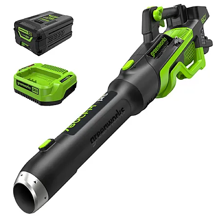 45% Off Greenworks Leaf Blower!