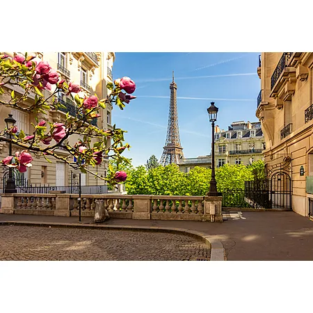 Round trip flights from LA to Paris for $485