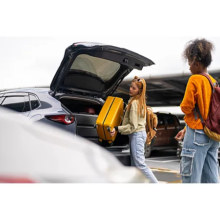 Avis Car Rental offers $30 back on $250+ spend