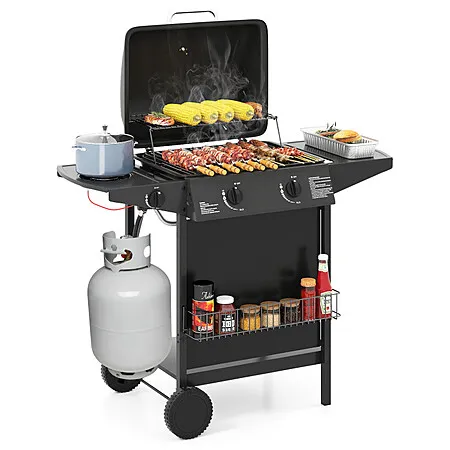Propane Gas Grill for $125!