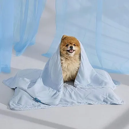 Bedsure Cooling Throw Blanket for Small Pets from $8.46