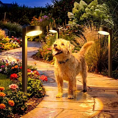 80% Off 12-Pack VOLISUN Solar Pathway Lights!