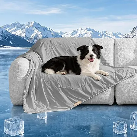 50% Off Pet Blanket