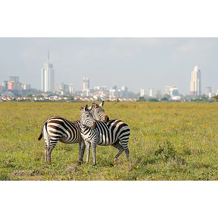 Round Trip New York to Nairobi for $748