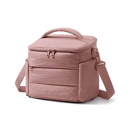 10L Bagsmart Insulated Lunch Bag Cooler for $9.99